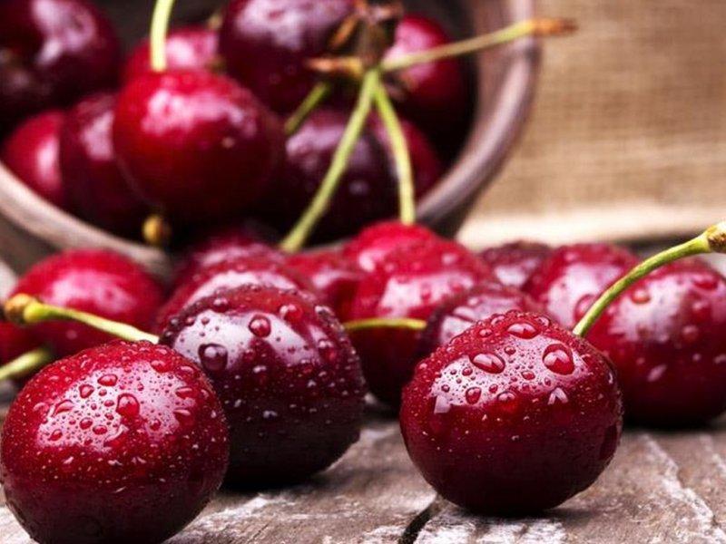 Вишня купить саженцы из питомника в Юрге